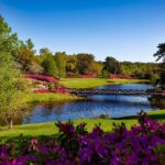 A beautiful spring garden landscape featuring vibrant pink flowers, a serene river, and a picturesque bridge.